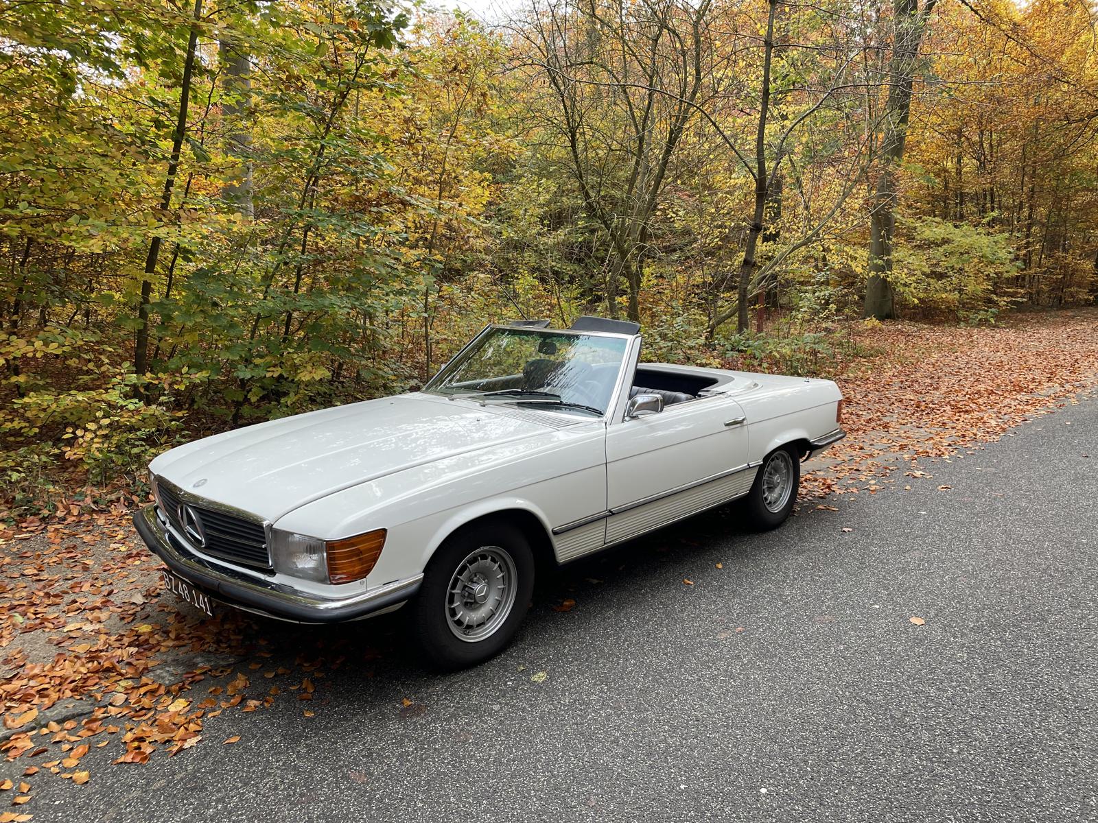 350SL i efterårsskov, front tre-kvart
